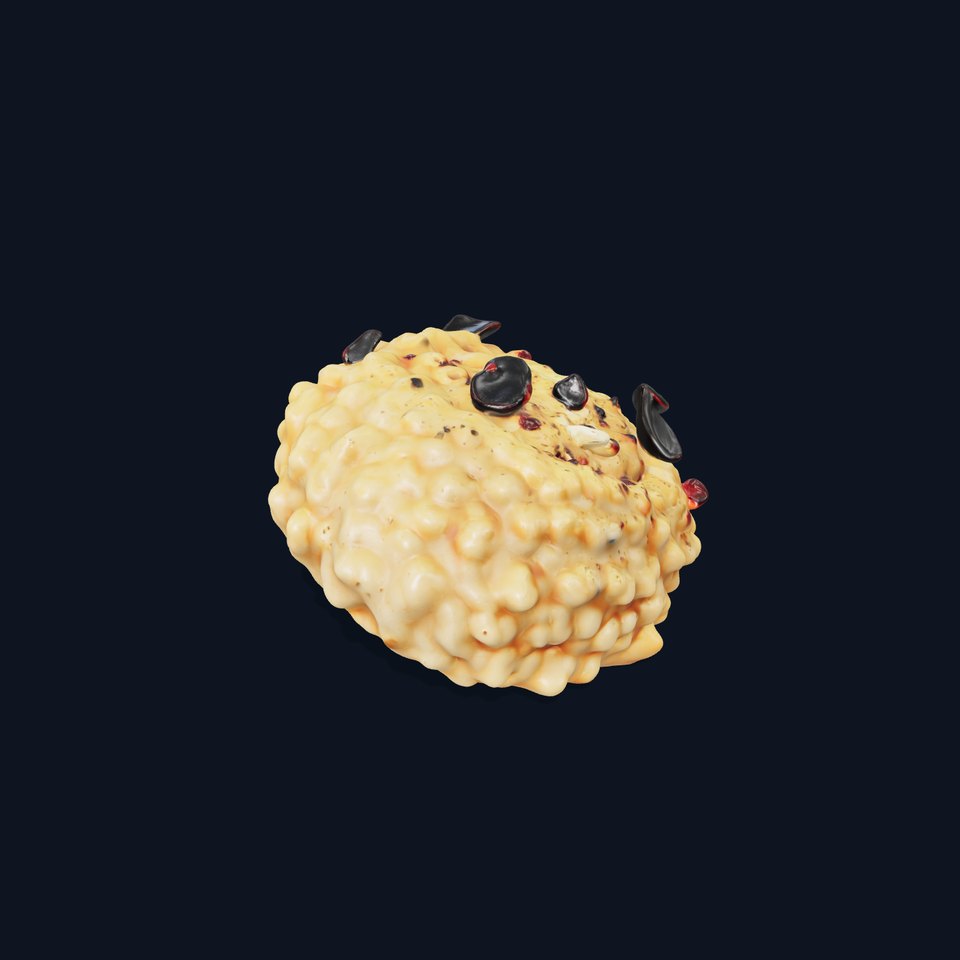 Creamy Risotto with Black Garlic Garnish model pack